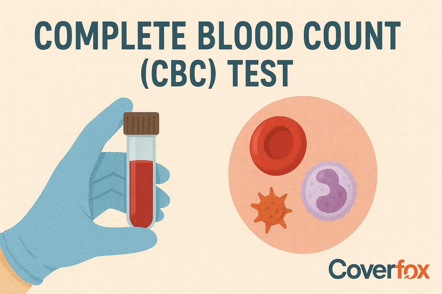 Complete Blood Count (CBC) Test