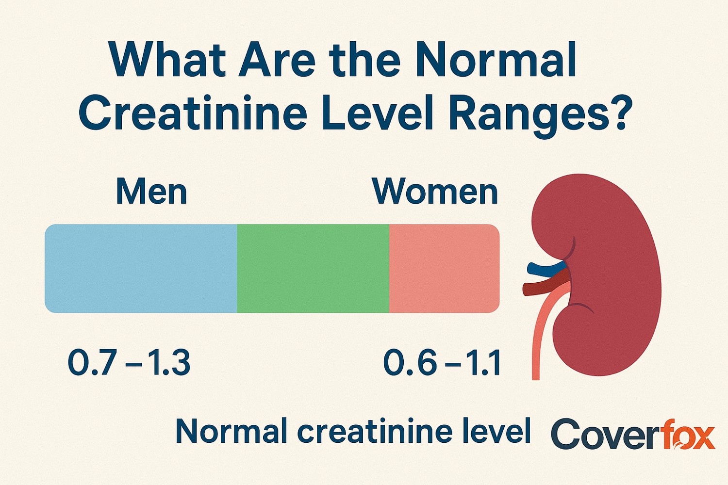Normal Creatinine Levels