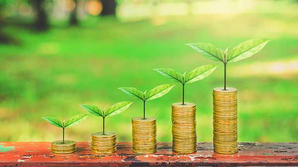 Latest Fixed Deposit Rates Sbi Vs Axis Bank Vs Pnb